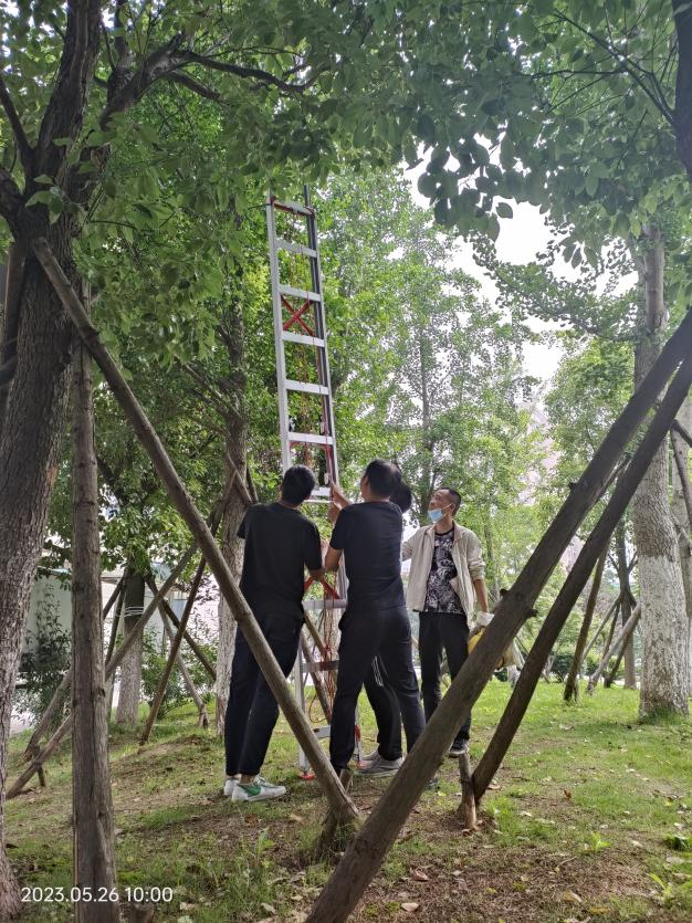 【爱心】洪湖市人民医院保卫科齐心送小鸟回家